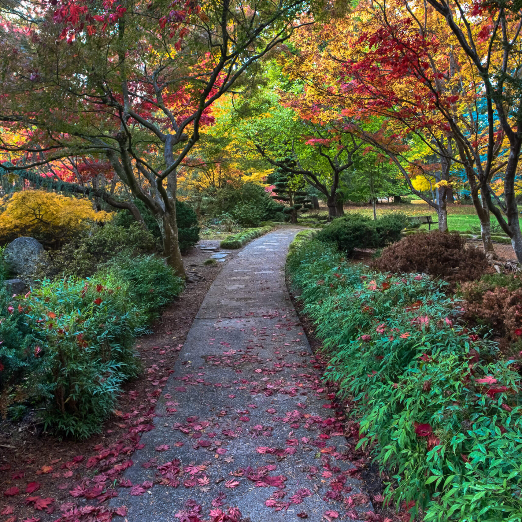 Stroll through the Japanese gardens within Lithia Park.